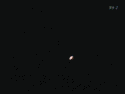 29.gif
