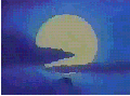 39.gif